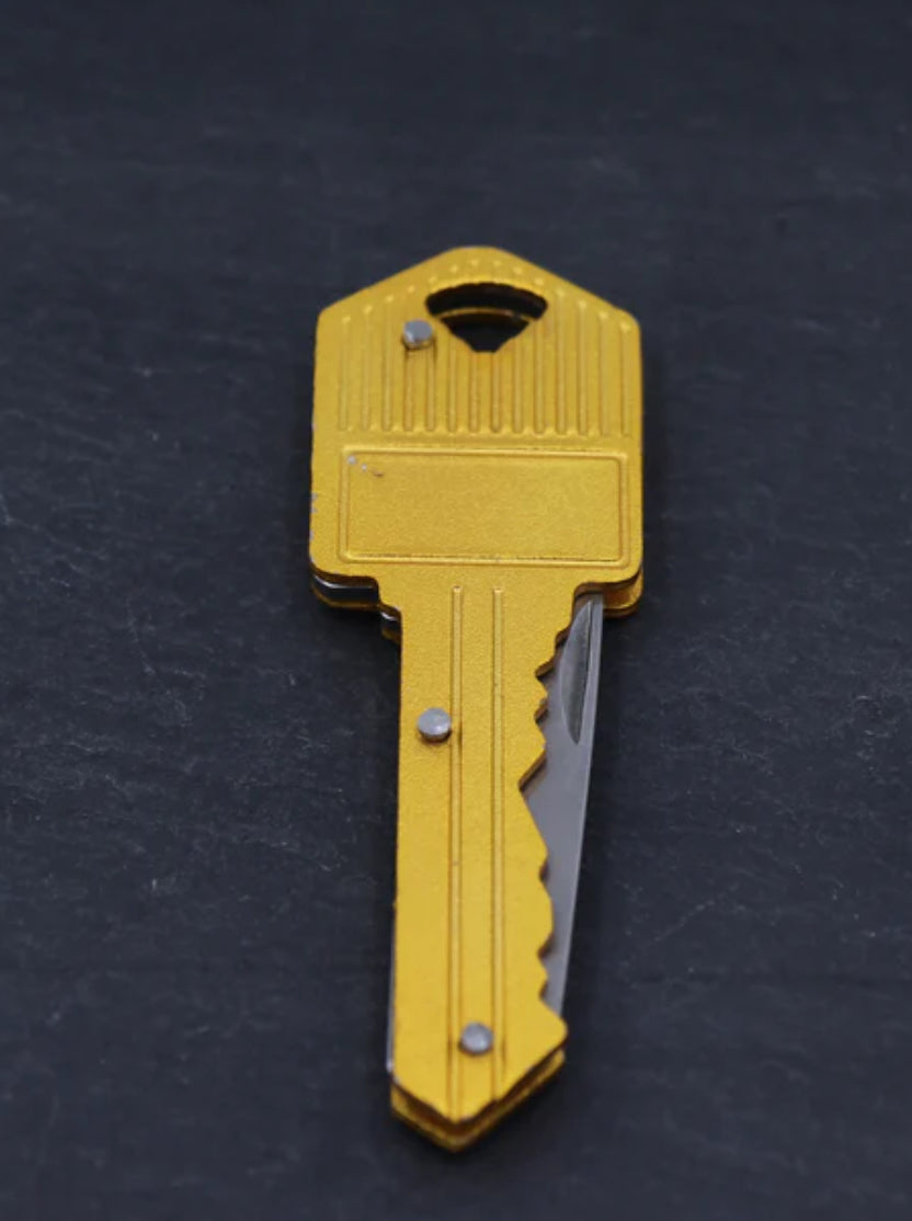 Discreet Key Keychain