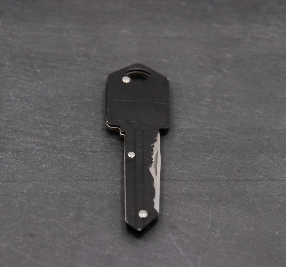 Discreet Key Keychain